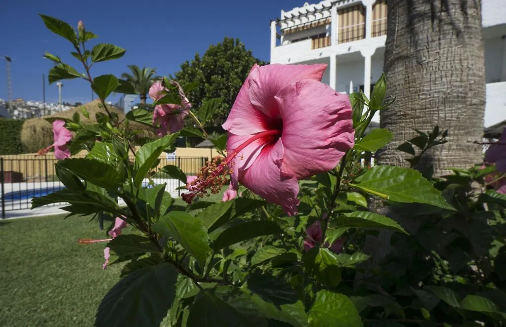 Apartment Apartamentos Turisticos Rio Marinas Nerja